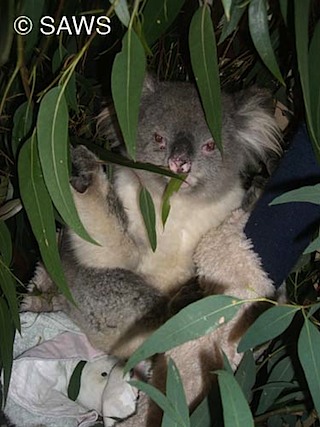 sam_05082009