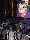 Lynne - Wildlife carer